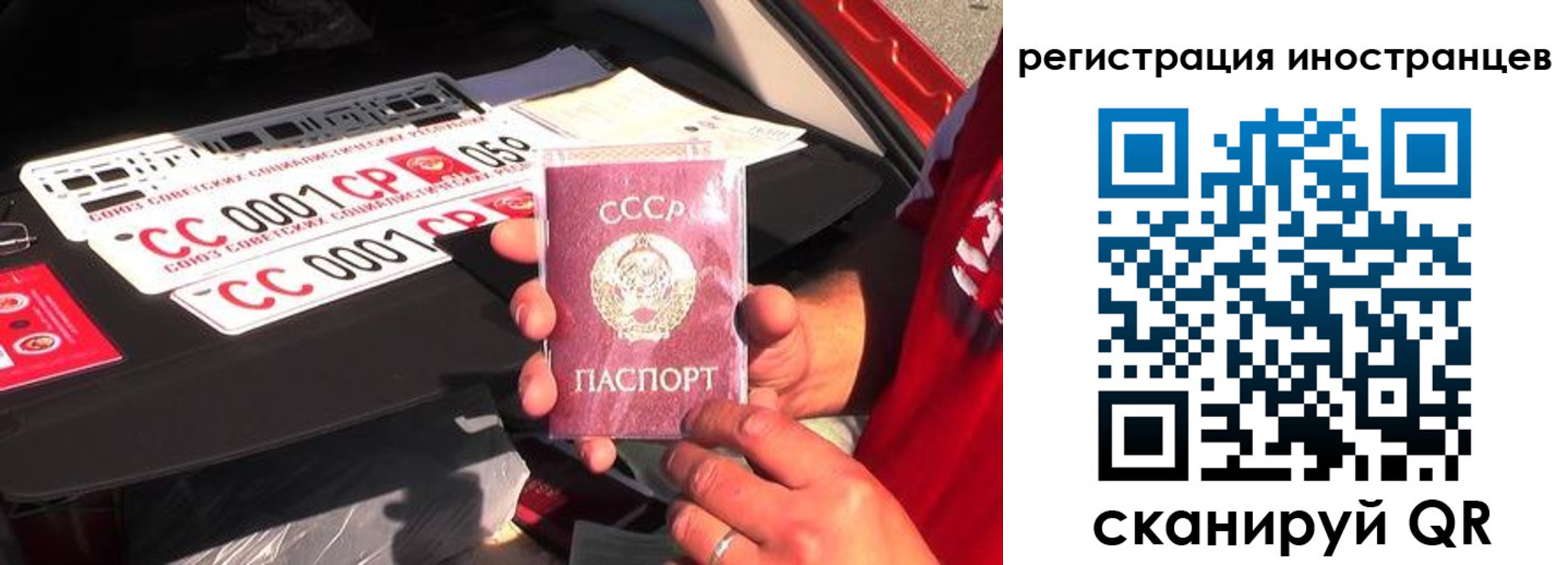 прописка гарантия в Десногорске